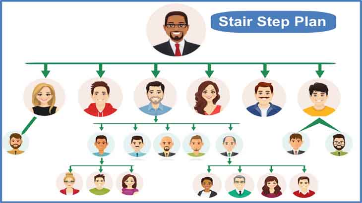Stair Step MLM  Software Development