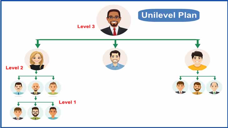 Level Plan MLM Software Development
